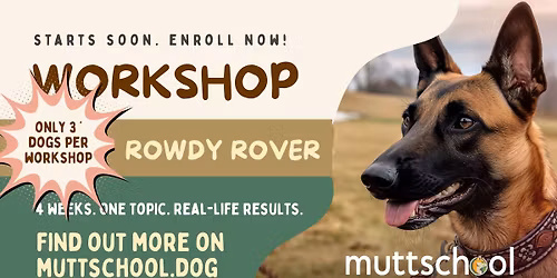 Rowdy Rover Workshop | May 2026