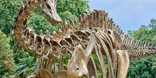 Fern the Diplodocus: A Structural Tale\/AGM
