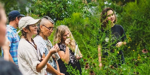 Eclipta Herbal Sanctuary Plant Walk
