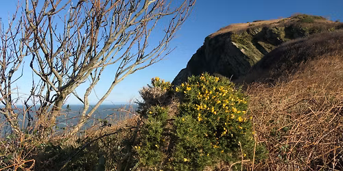 Friends of Hillsborough December Volunteer day