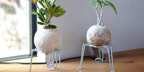 4\/26\uff5c\u690d\u7269\u306e\u3042\u308b\u66ae\u3089\u3057\u3092\u3001\u3064\u304f\u308b\u65e5\u3002 hangball workshop @\u6642\u3005\u3001\u3088\u306f\u304f