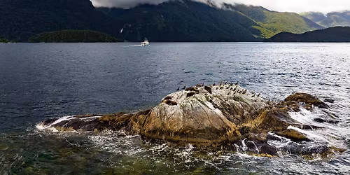 Fiordland Wilderness Adventure - March 2026