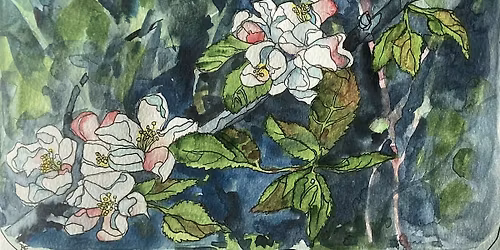 Bruce Edwards: Spring Flowers in Watercolour and Ink