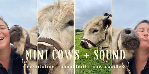 Mini Cows + Sound Bath