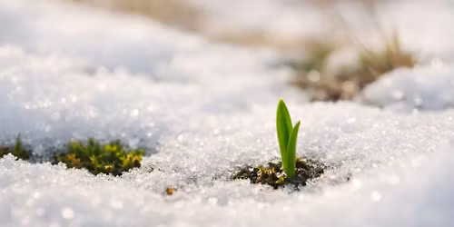 The Awareness Group: 