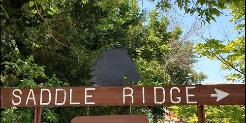 Saddle Ridge Back Country Horsemen Ride at Big Tree