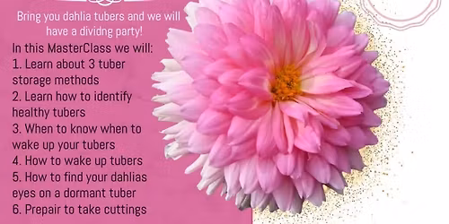 Dahlia Dividing Mini MasterClass