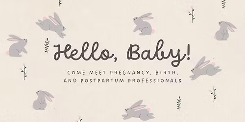 Hello, Baby!: A Perinatal Professional Meet-and-Greet
