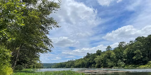 Volunteer Day: River Canebreaks