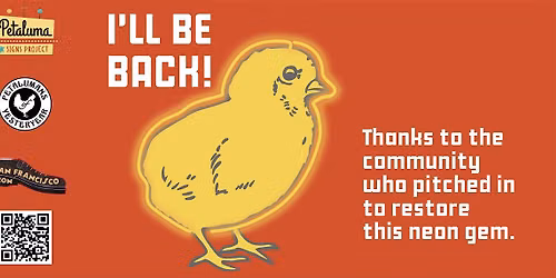 Neon Chick Returns Home: Lighting Celebration