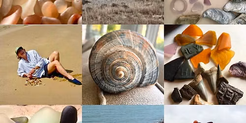 International Beachcombing Conference (IBC)