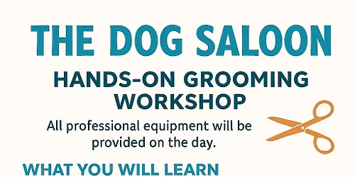 Learn To Groom Your Own Dog
