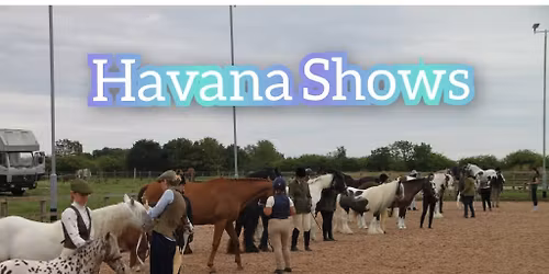#2 inhand and ridden show by havana shows- points series
