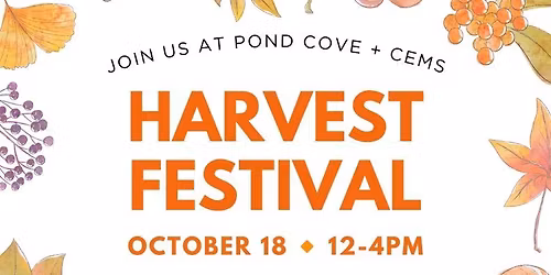 Pond at The Bellwether