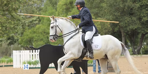 Working Equitation Playday