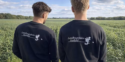 Informationsm\u00f8de Produktionsleder