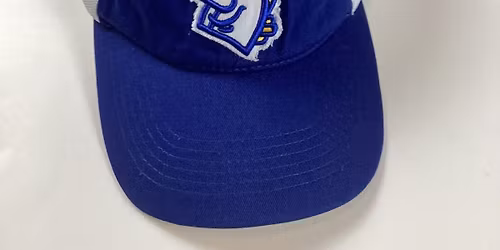 Wisconsin Milwaukee Panthers at LSU Tigers Baseball at Alex Box Stadium