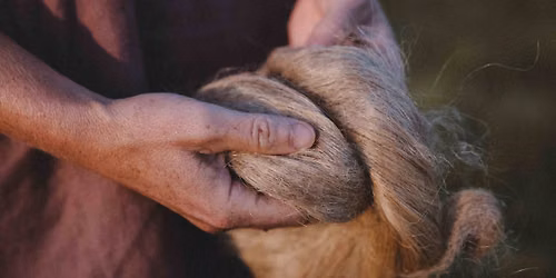 The future of fibre - Contextualising Soil to Oneone (soil) Textile Production in Aotearoa