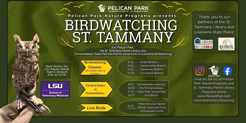 Fall Birdwatching Series - Fontainebleau Bird Walk