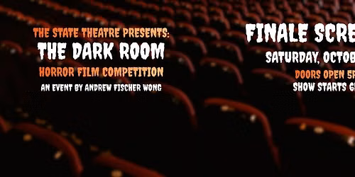 The Dark Room Film Finale