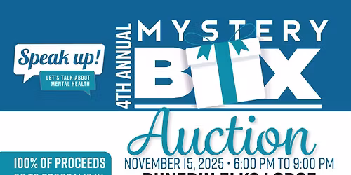 Fourth Annual Mystery Box Auction Fundraiser