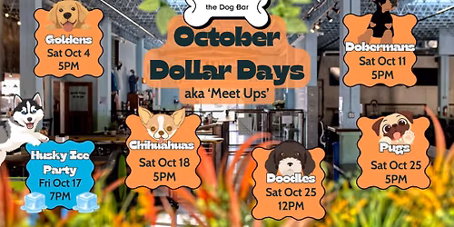 October Dollar Days Socials