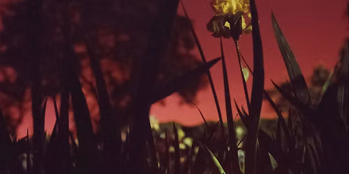 Fortune And Fables - Rebecca Dietz - Un Grito Gallery