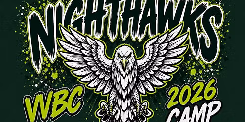 Mini Nighthawks Baseball Camp (ages 4-8)