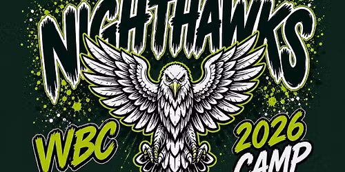 Mini Nighthawks Baseball Camp (ages 4-8)
