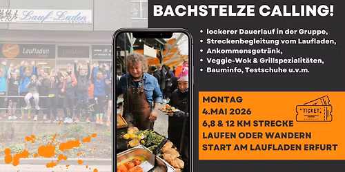 Bachstelze Calling am 4 .Mai 2026