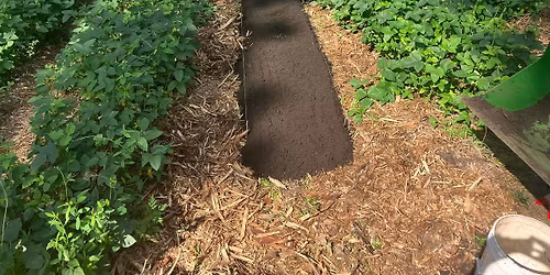 November NAP meetup: No Till Gardening with Dirk!