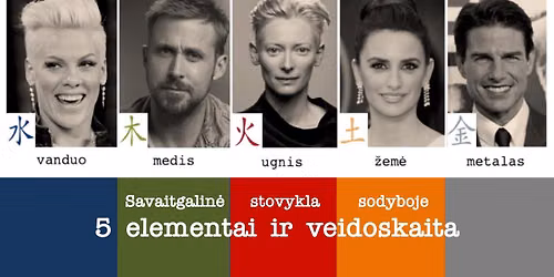 5 ELEMENT\u0172 asmenybi\u0173 tipologija ir VEIDOSKAITA