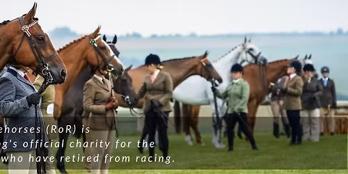 RoR Northern - Step Into Dressage with Tracey Fox at Northallerton Equestrian DL7 0PQ