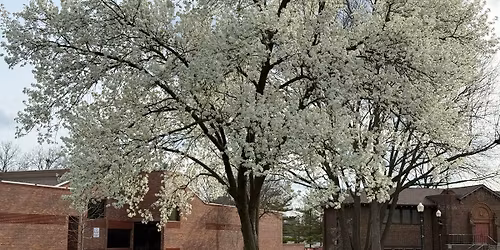 Workshop #3 - shortgowns & waistcoats - Make your own Revolutionary War clothing