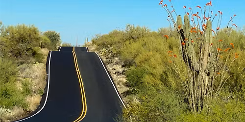 Saguaro East from Starbucks B,B+\/3\/37