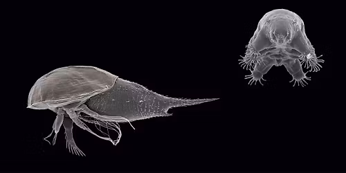 Vin & Videnskab: Zoologi - UDSOLGT