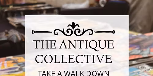 The Antique Collective 