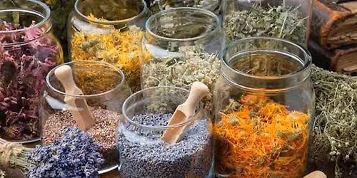 Herbalism in your practice $10 One Page At A Time - A Solitary Witch Class Series