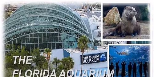  FLORIDA AQUARIUM in TAMPA