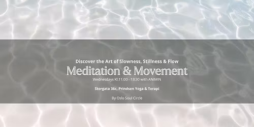 The Art of Slowness: Meditation & Movement 