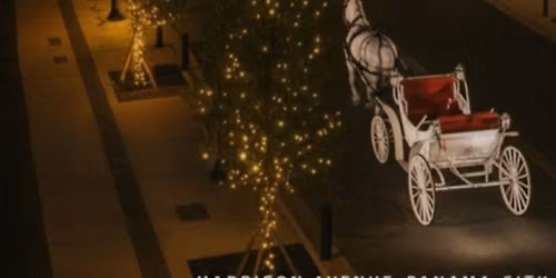 Harrison Ave Carriage Rides