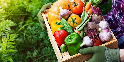 Vegetable Gardening Workshop