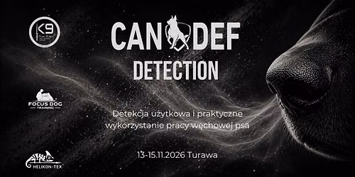 CANDEF DETECTION