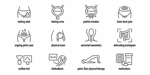 Intro to Pelvic Health