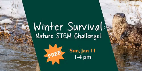 Winter Survival: Nature STEM Challenge!