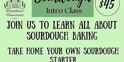 Sourdough Intro Class