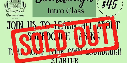 Sourdough Intro Class