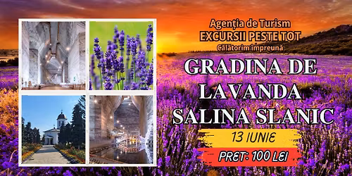 \ud83c\udf38\ud83d\udc9c GRADINA DE LAVANDA \u2013 SALINA SLANIC