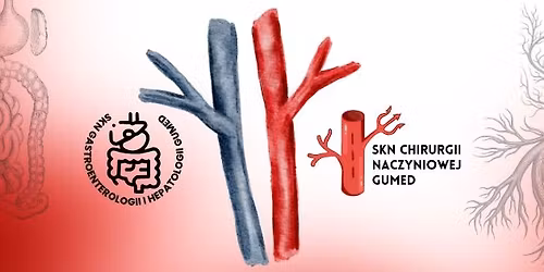 Na styku gastroenterologii i chirurgii naczyniowej podej\u015bcie interdyscyplinarne 