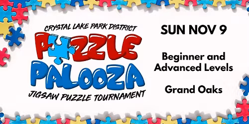 Puzzle Palooza-Competitive Division